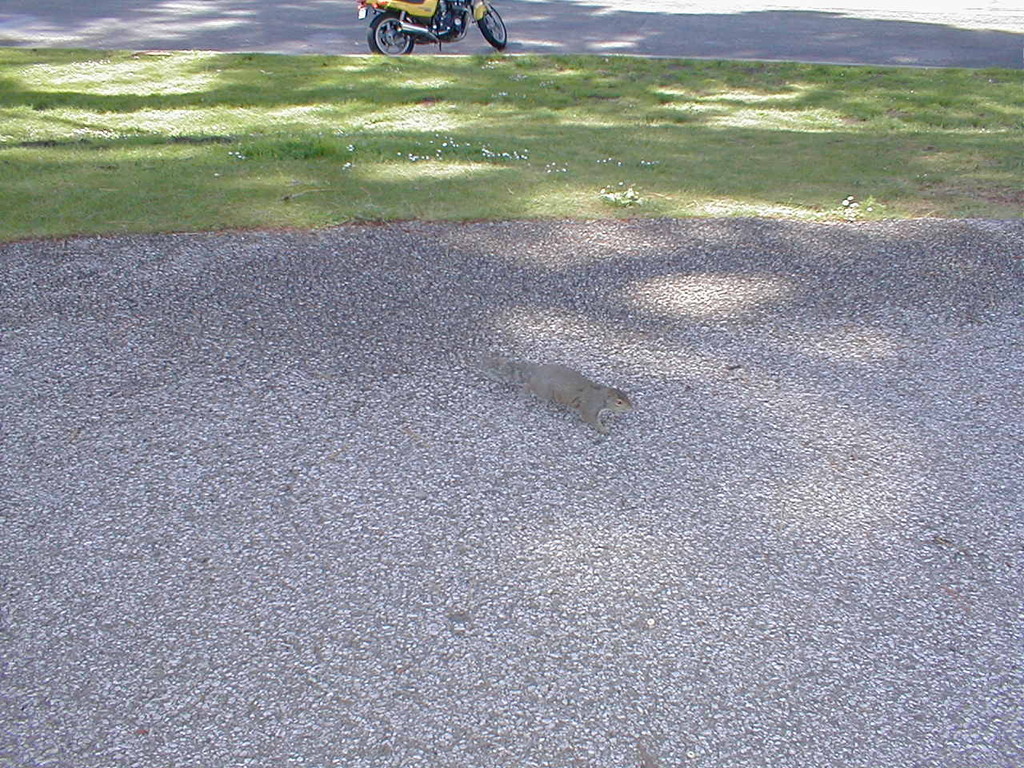 No description provided for: /2003/04-06/0419-san-fransisco/photo11.html