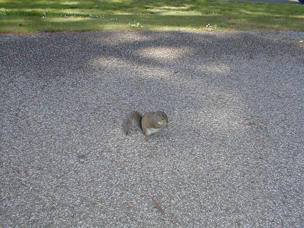 No description provided for: /2003/04-06/0419-san-fransisco/photo13.html