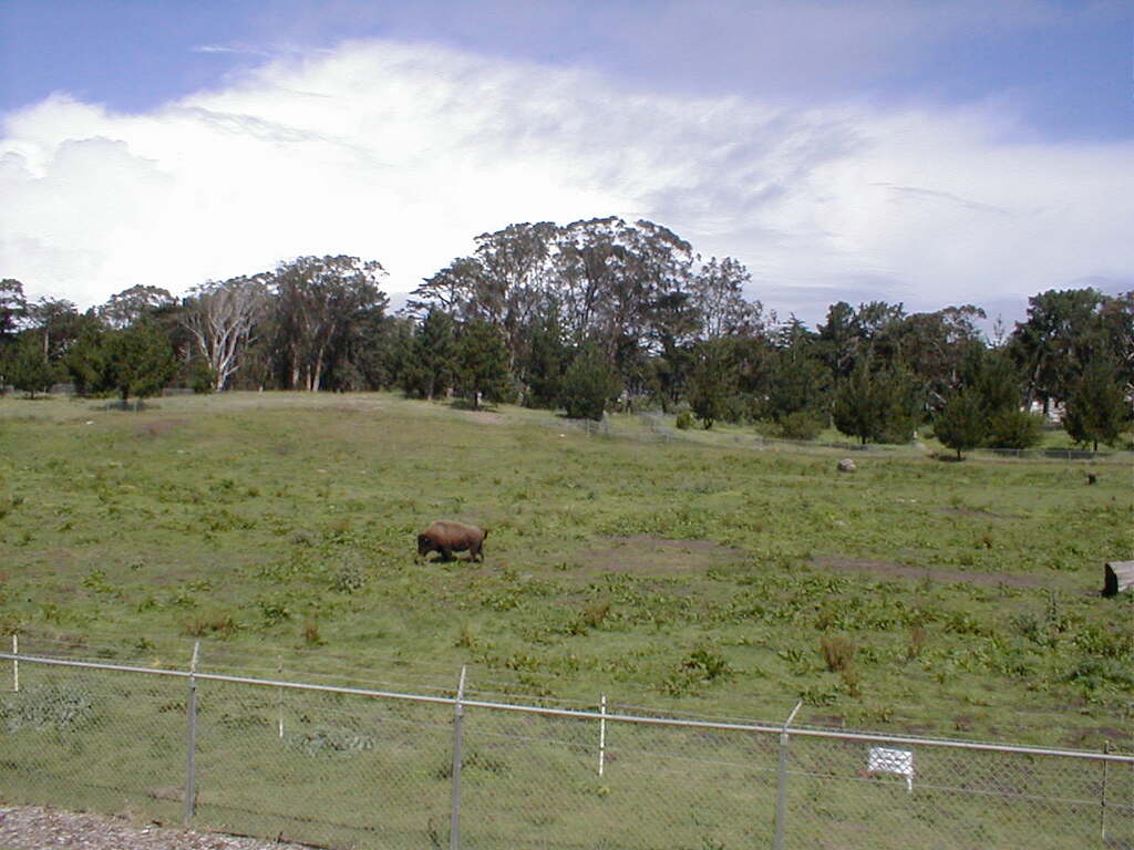 No description provided for: /2003/04-06/0419-san-fransisco/photo14.html