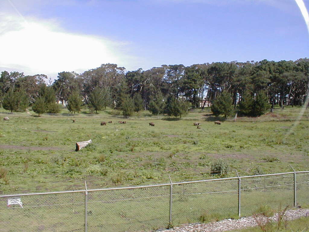 No description provided for: /2003/04-06/0419-san-fransisco/photo15.html