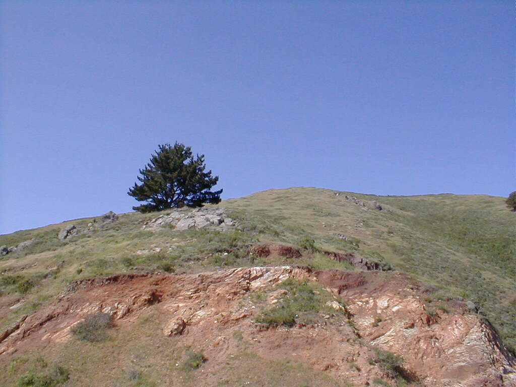 No description provided for: /2003/04-06/0420-san-fransisco/_2/photo21.html