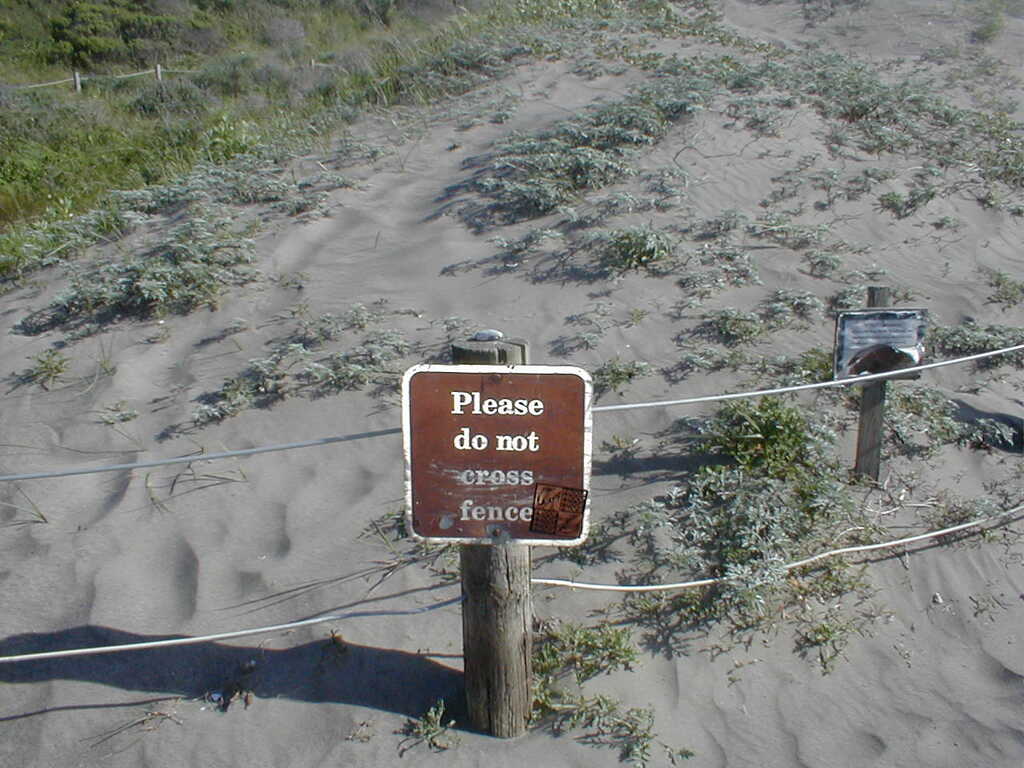 No description provided for: /2003/04-06/0420-san-fransisco/_2/photo23.html