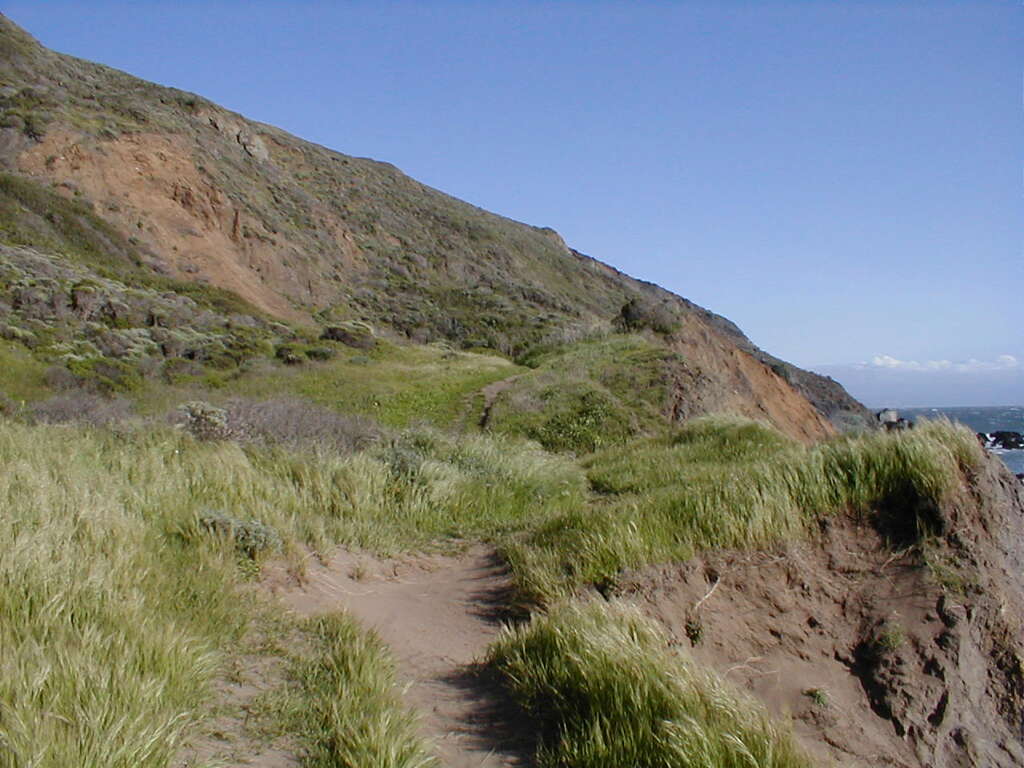 No description provided for: /2003/04-06/0420-san-fransisco/_2/photo26.html