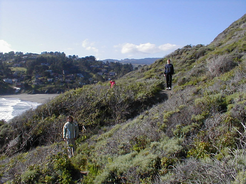 No description provided for: /2003/04-06/0420-san-fransisco/_2/photo30.html