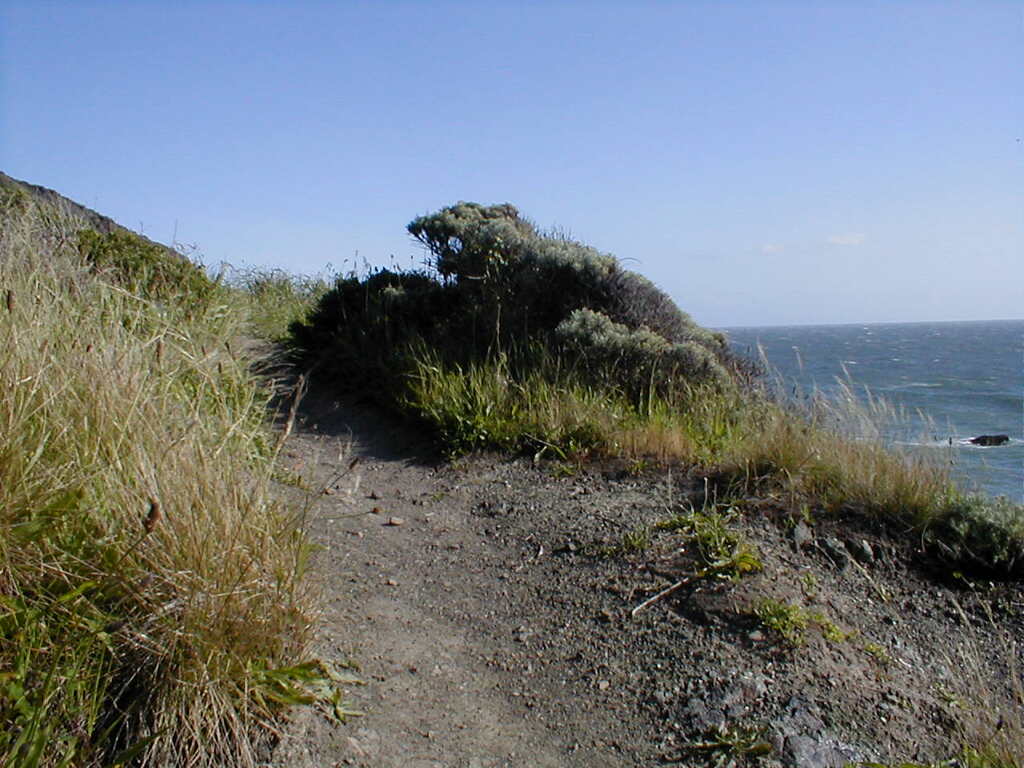 No description provided for: /2003/04-06/0420-san-fransisco/_2/photo31.html