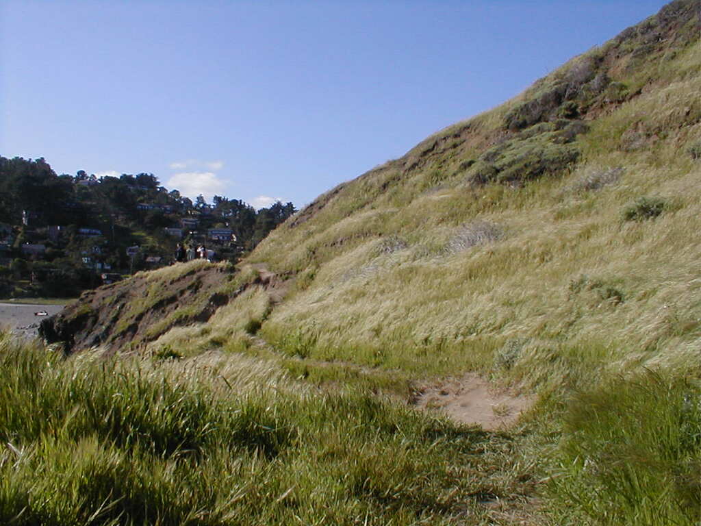 No description provided for: /2003/04-06/0420-san-fransisco/_2/photo33.html