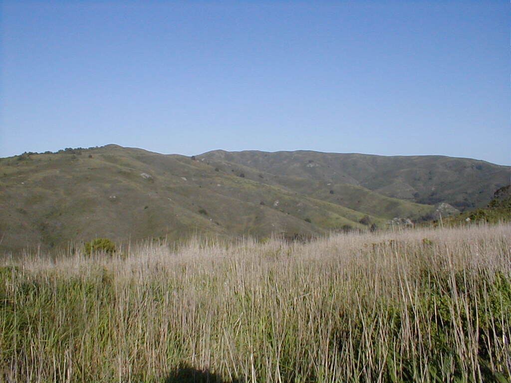 No description provided for: /2003/04-06/0420-san-fransisco/_3/photo46.html