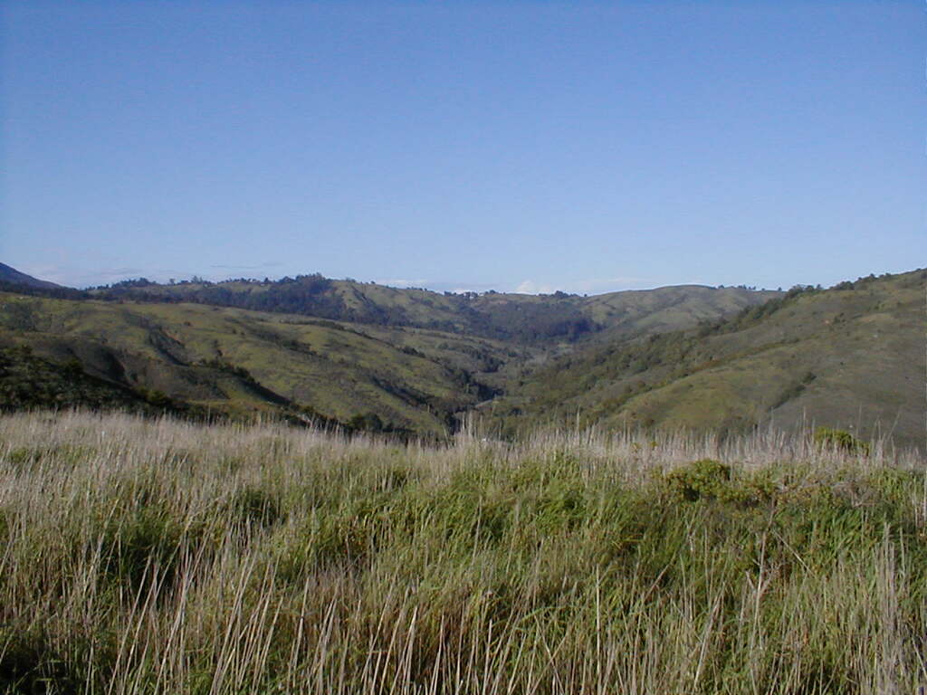 No description provided for: /2003/04-06/0420-san-fransisco/_3/photo47.html