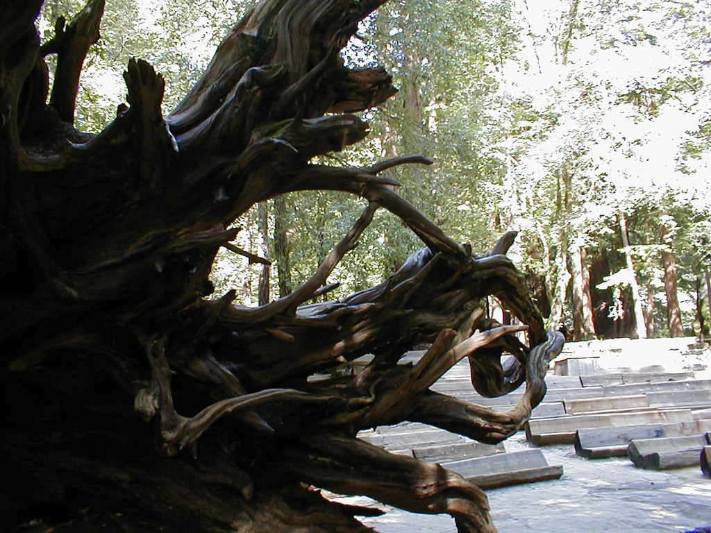 No description provided for: /2003/04-06/0420-san-fransisco/_3/photo49.html