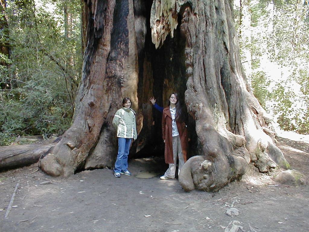 No description provided for: /2003/04-06/0420-san-fransisco/_3/photo57.html