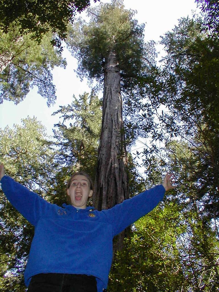 No description provided for: /2003/04-06/0420-san-fransisco/_4/photo60.html