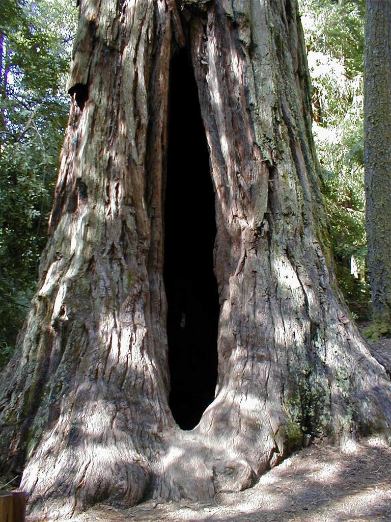 No description provided for: /2003/04-06/0420-san-fransisco/_4/photo66.html