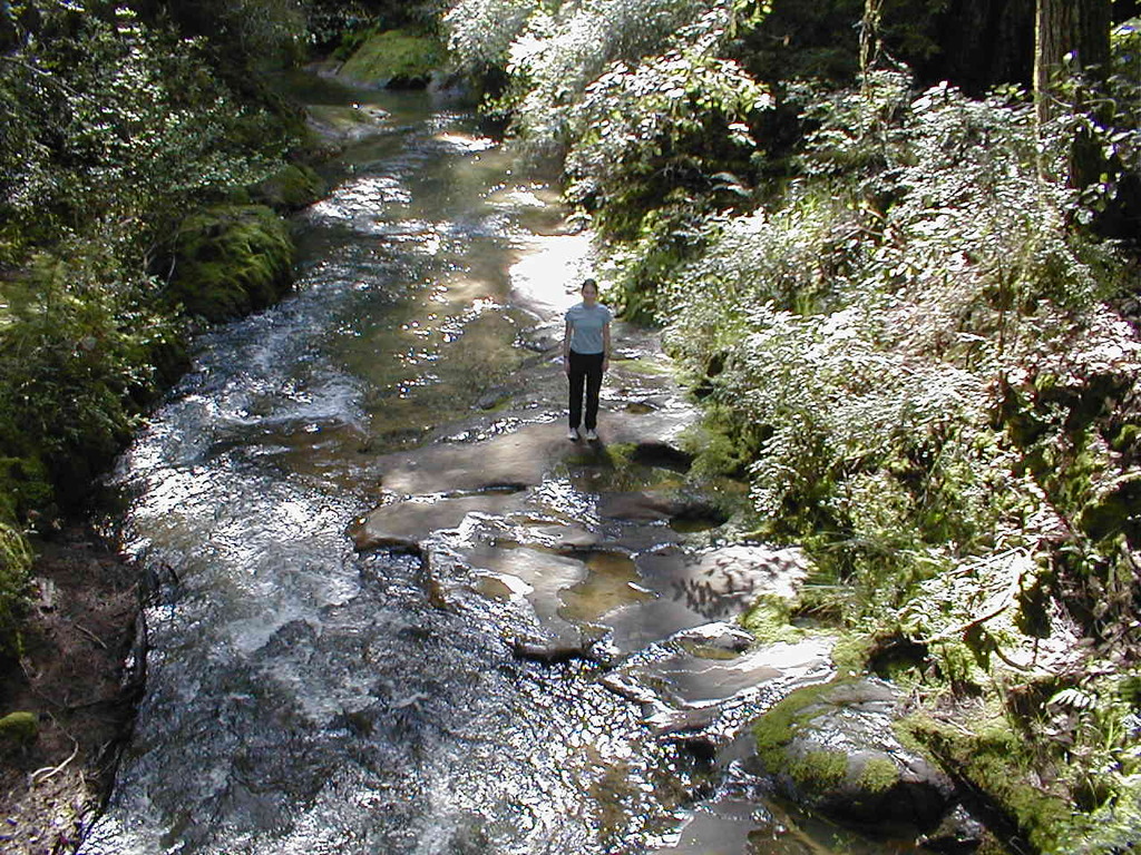 No description provided for: /2003/04-06/0420-san-fransisco/_4/photo69.html