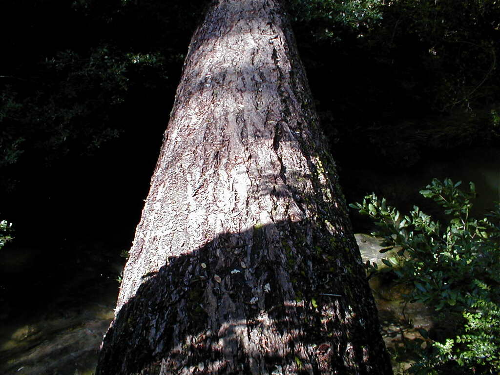 No description provided for: /2003/04-06/0420-san-fransisco/_4/photo70.html