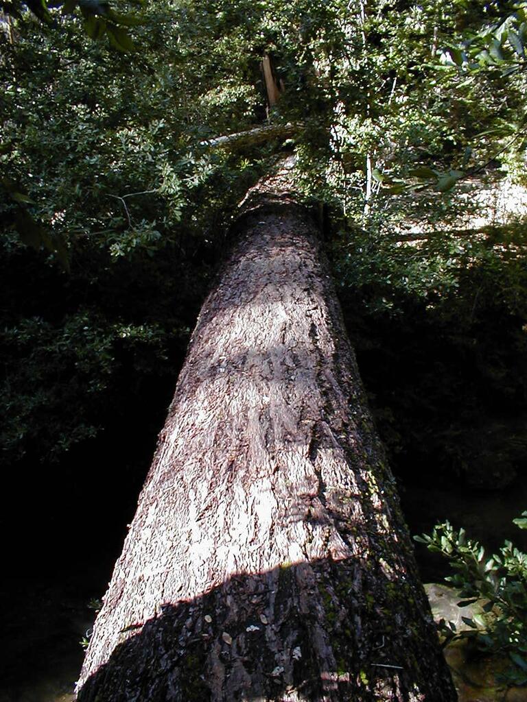 No description provided for: /2003/04-06/0420-san-fransisco/_4/photo71.html