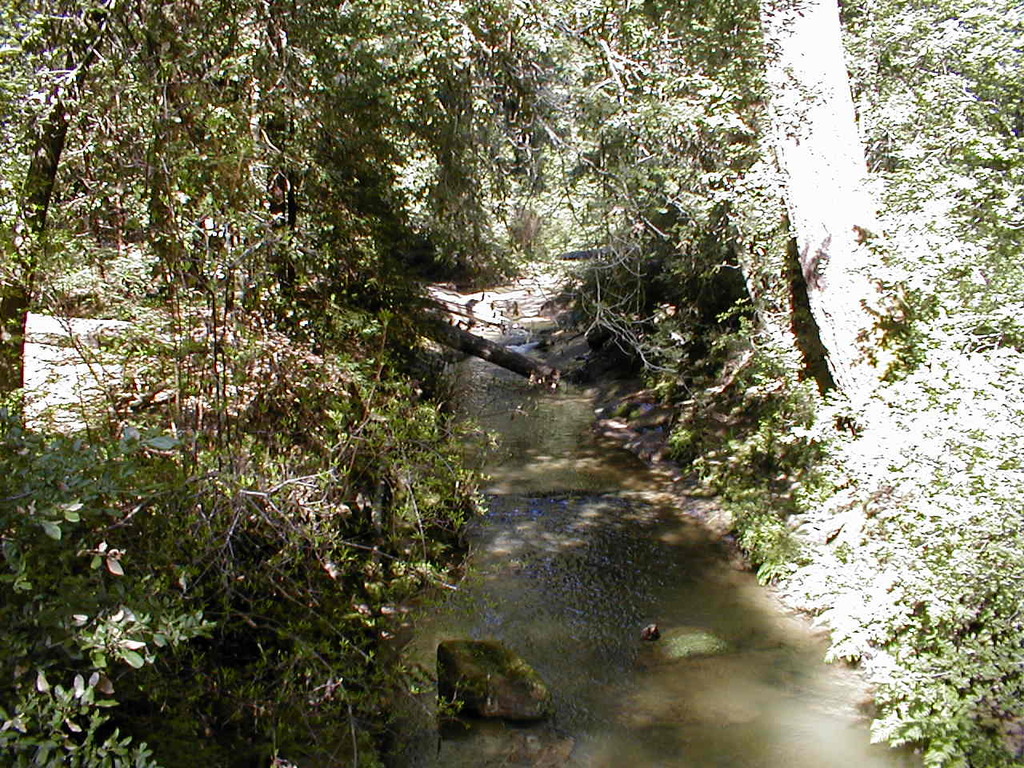 No description provided for: /2003/04-06/0420-san-fransisco/_4/photo72.html