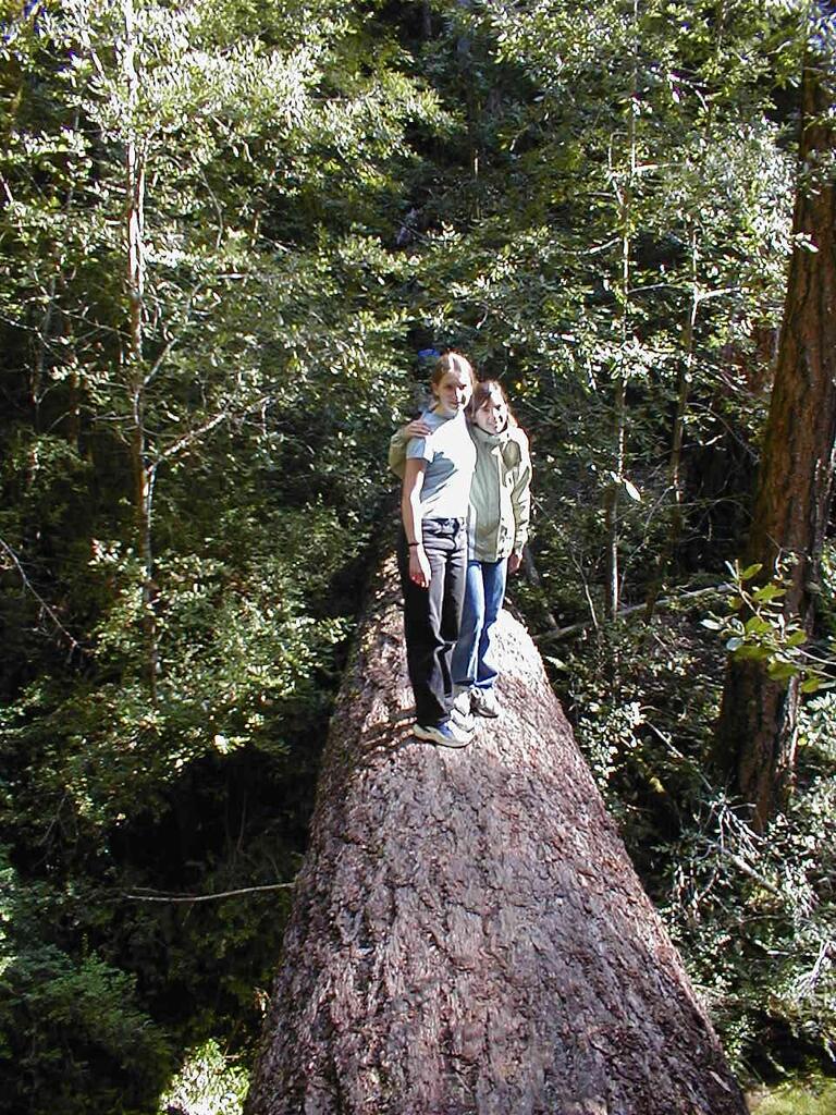 No description provided for: /2003/04-06/0420-san-fransisco/_4/photo73.html