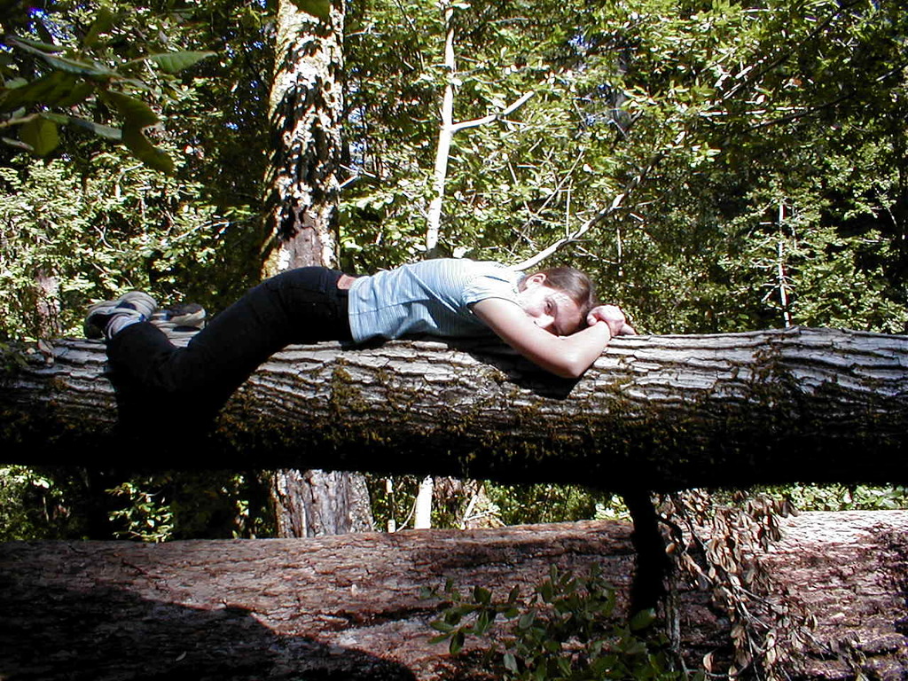 No description provided for: /2003/04-06/0420-san-fransisco/_4/photo74.html