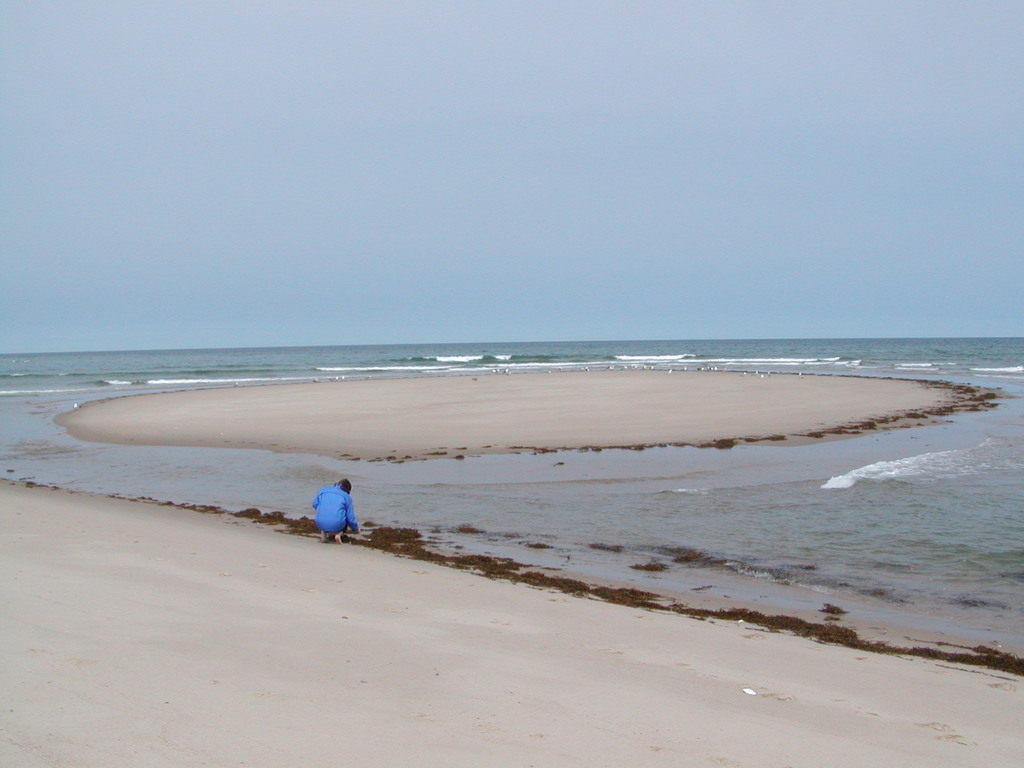 No description provided for: /2003/04-06/0511-nauset-walk/photo01.html