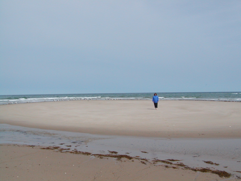 No description provided for: /2003/04-06/0511-nauset-walk/photo05.html