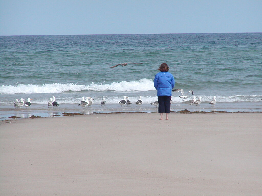 No description provided for: /2003/04-06/0511-nauset-walk/photo09.html