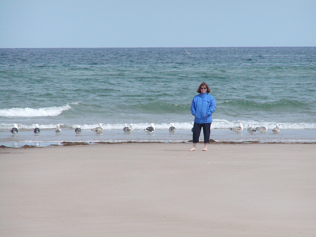 No description provided for: /2003/04-06/0511-nauset-walk/photo10.html