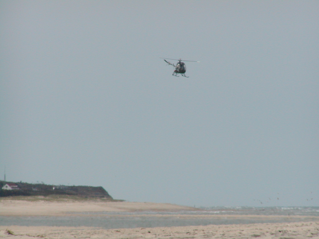 No description provided for: /2003/04-06/0511-nauset-walk/photo14.html