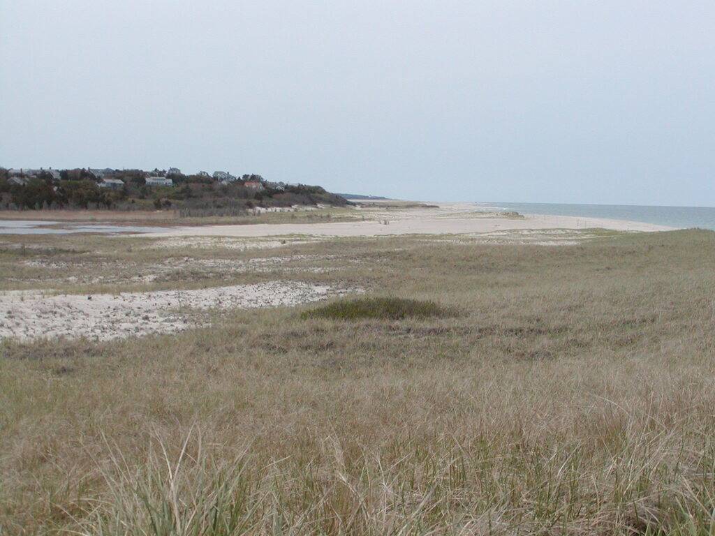 No description provided for: /2003/04-06/0511-nauset-walk/photo17.html