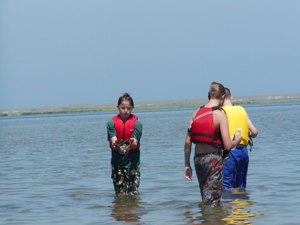 No description provided for: /2003/07-09/0717-horseshoe-crabs/photo01.html