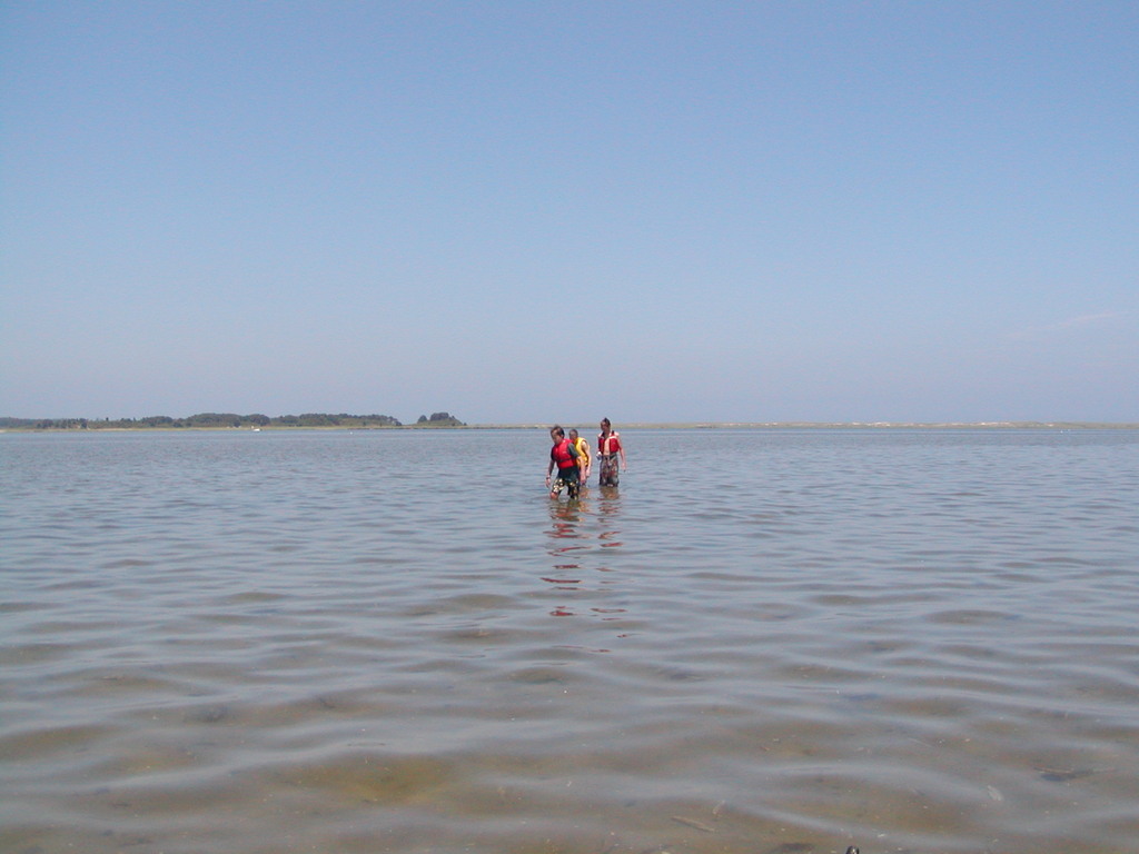No description provided for: /2003/07-09/0717-horseshoe-crabs/photo03.html