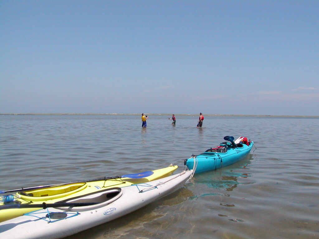 No description provided for: /2003/07-09/0717-horseshoe-crabs/photo05.html