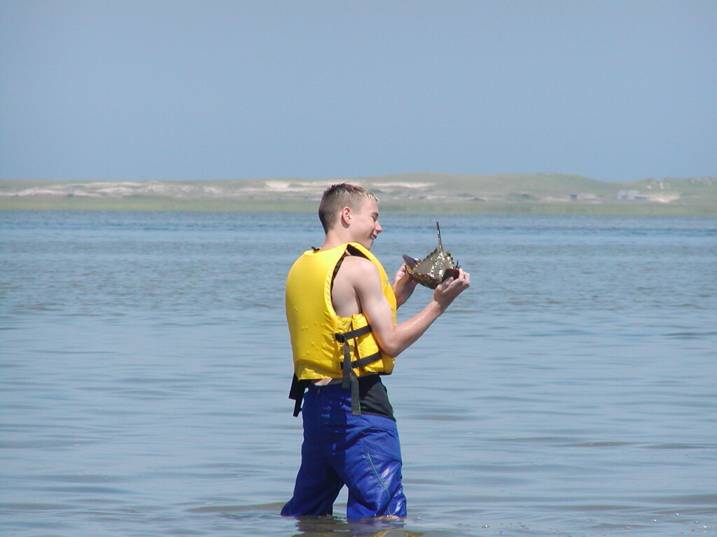 No description provided for: /2003/07-09/0717-horseshoe-crabs/photo06.html