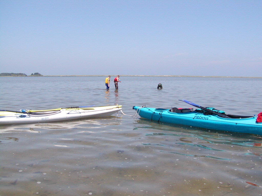 No description provided for: /2003/07-09/0717-horseshoe-crabs/photo08.html