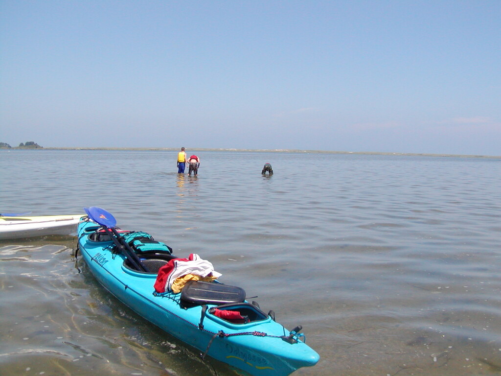 No description provided for: /2003/07-09/0717-horseshoe-crabs/photo09.html