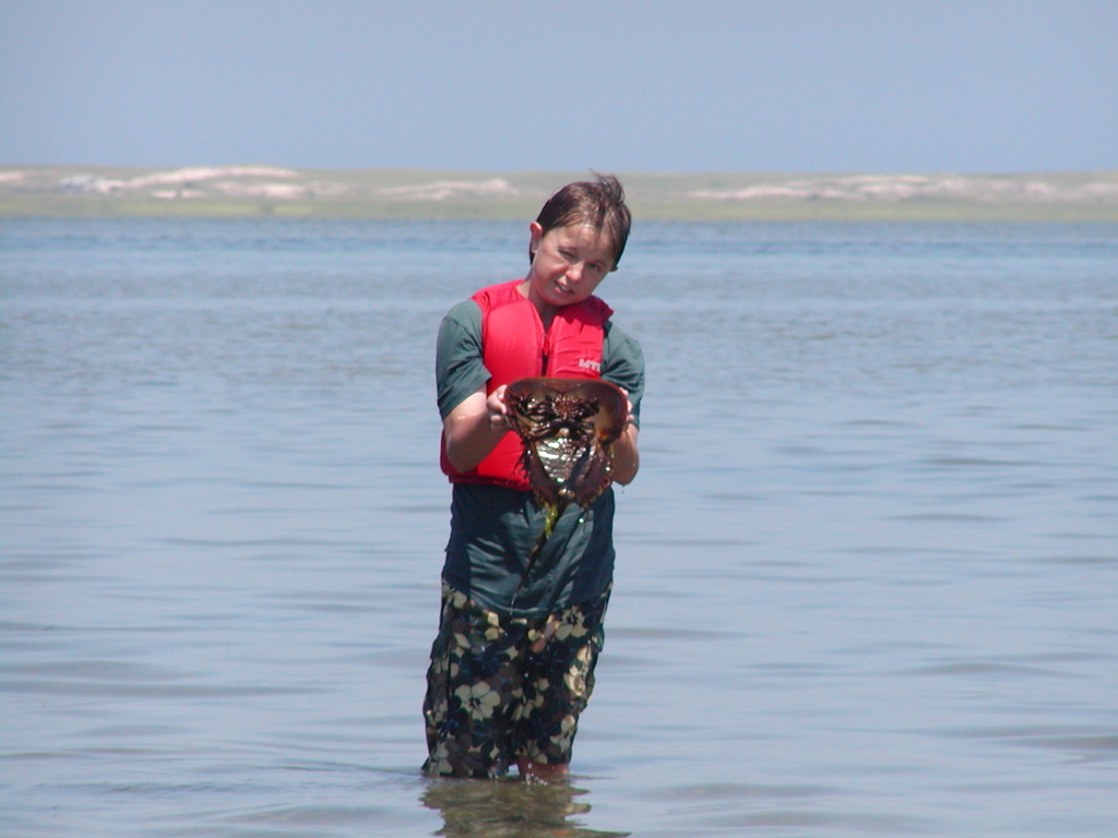 No description provided for: /2003/07-09/0717-horseshoe-crabs/photo10.html