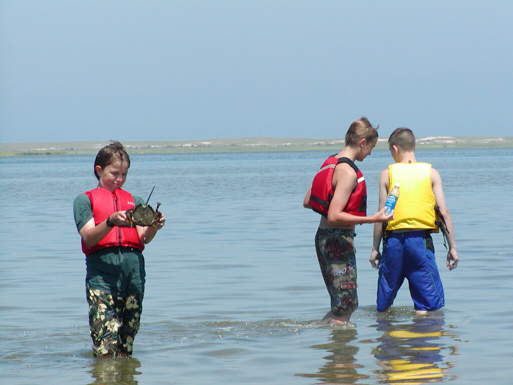 No description provided for: /2003/07-09/0717-horseshoe-crabs/photo11.html