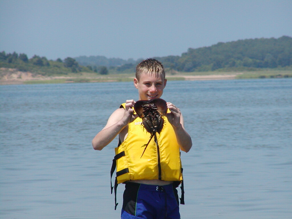 No description provided for: /2003/07-09/0717-horseshoe-crabs/photo12.html