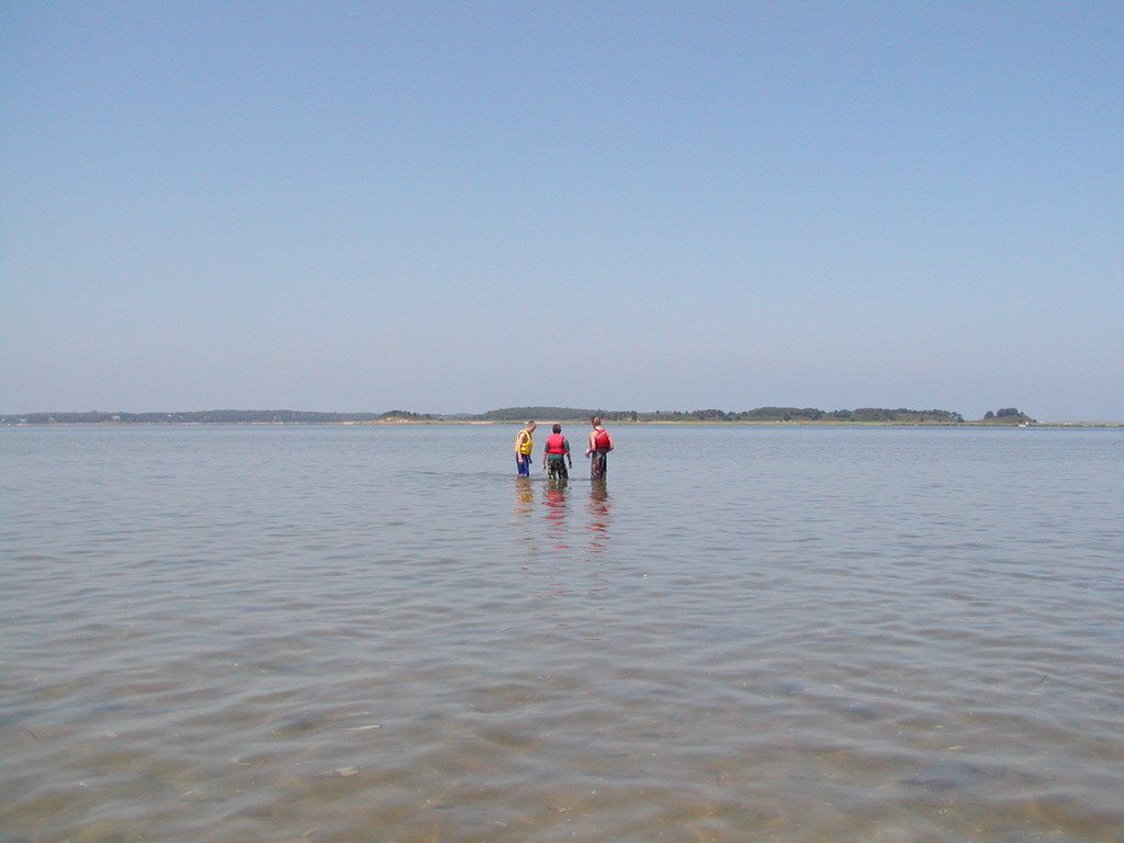 No description provided for: /2003/07-09/0717-horseshoe-crabs/photo17.html