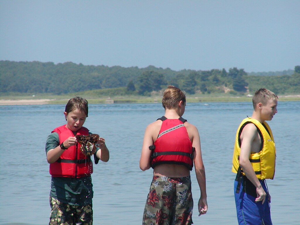 No description provided for: /2003/07-09/0717-horseshoe-crabs/photo18.html