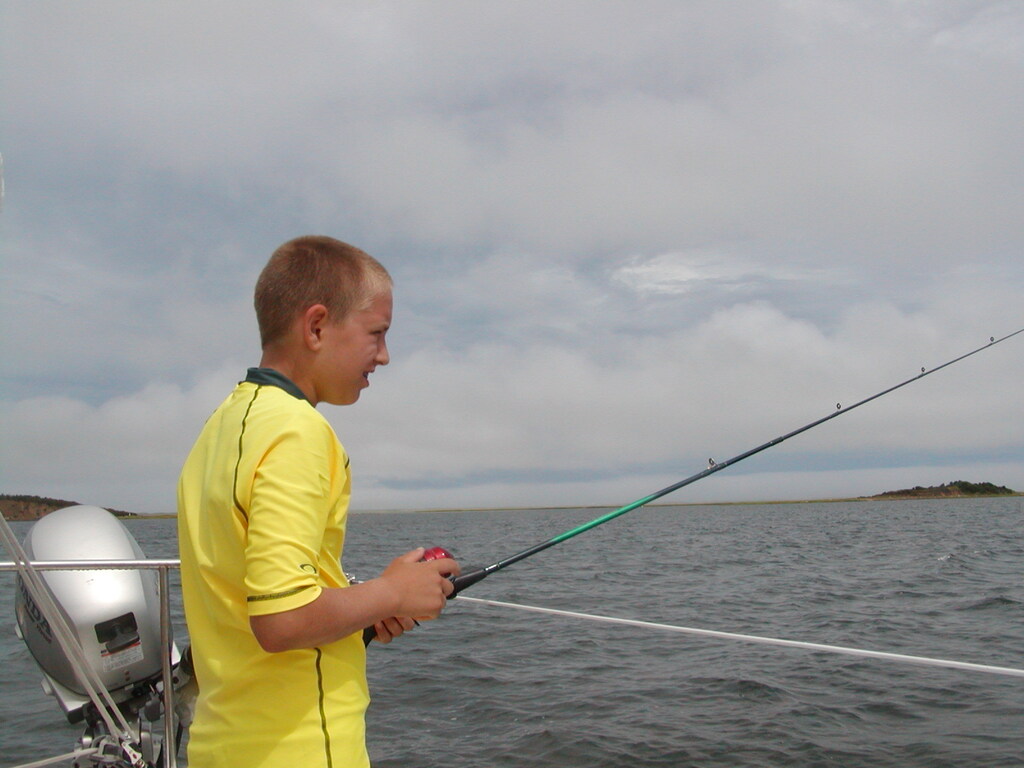 No description provided for: /2003/07-09/0809-sailing+fishing/photo01.html