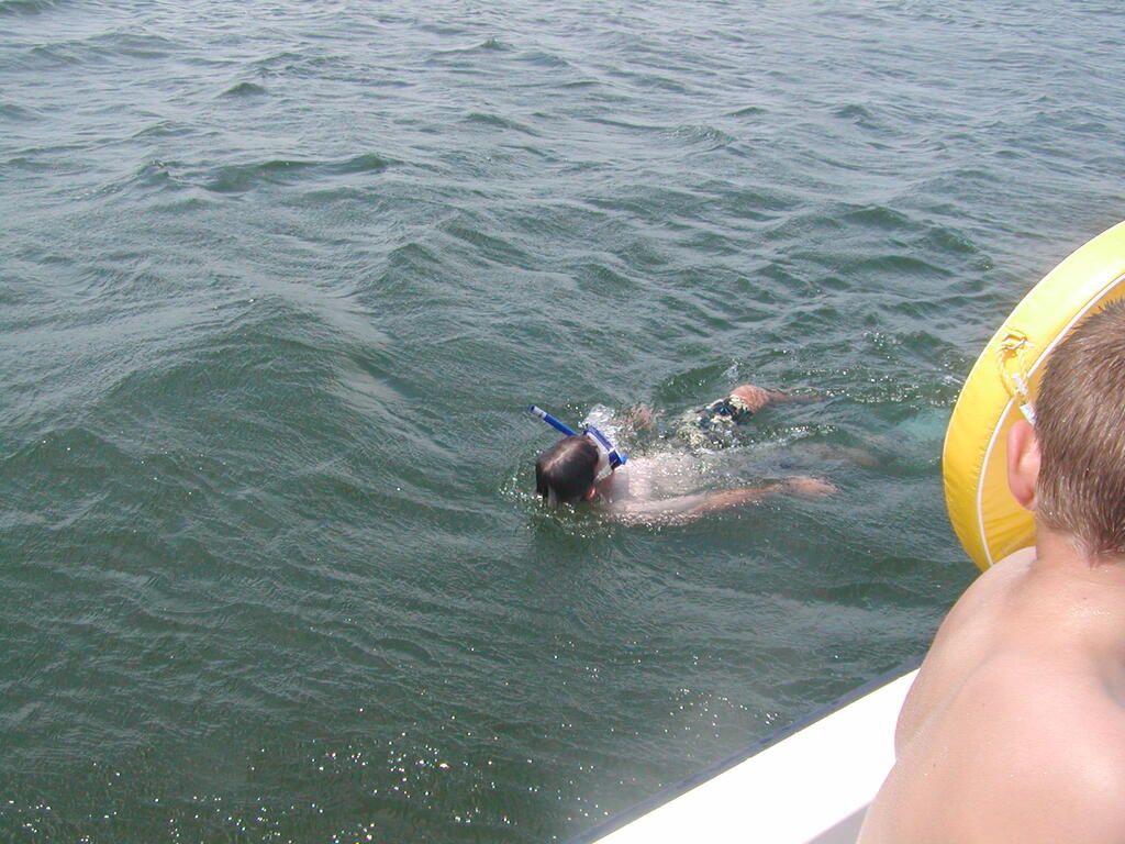 No description provided for: /2003/07-09/0810-sail-kaufmans/photo02.html