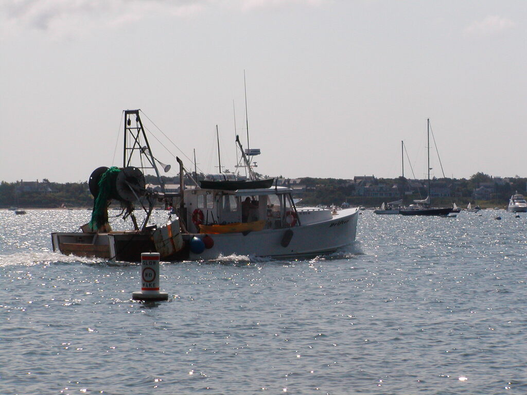 No description provided for: /2003/07-09/0819-big-sail/photo09.html