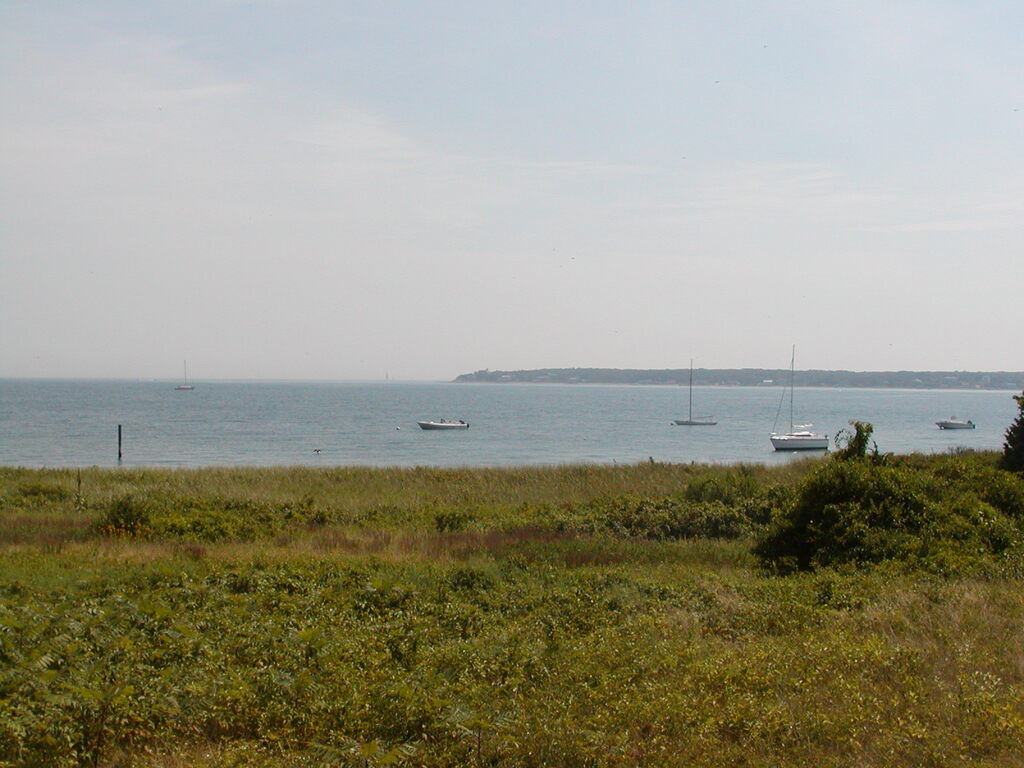 No description provided for: /2003/07-09/0821-big-sail/_2/photo27.html