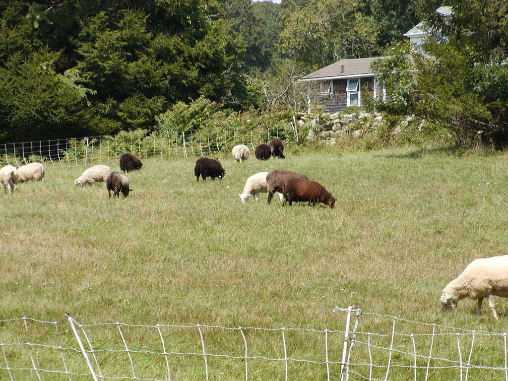 No description provided for: /2003/07-09/0821-big-sail/_2/photo35.html