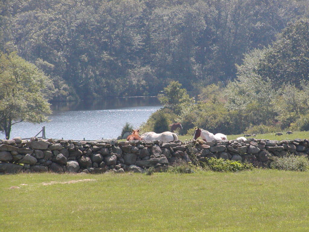 No description provided for: /2003/07-09/0821-big-sail/_2/photo37.html