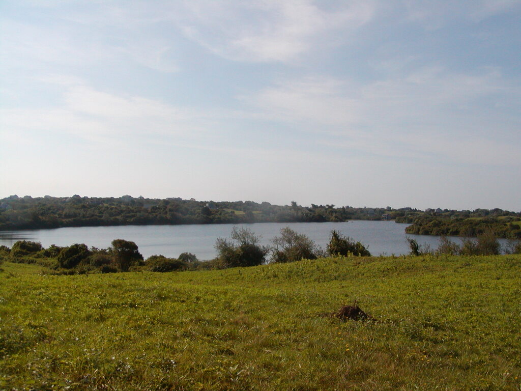 No description provided for: /2003/07-09/0826-big-sail/_1/photo17.html