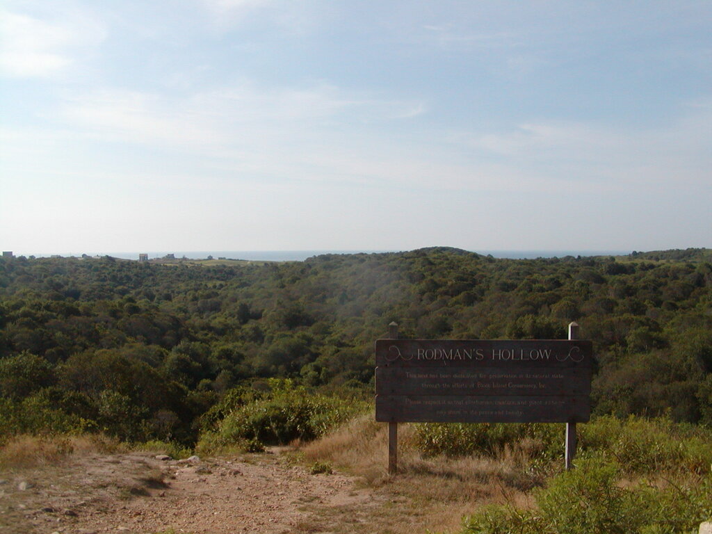 No description provided for: /2003/07-09/0826-big-sail/_1/photo18.html