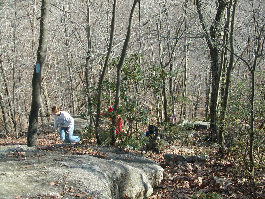 No description provided for: /2003/10-12/1123-erin-bday-hike/photo08.html