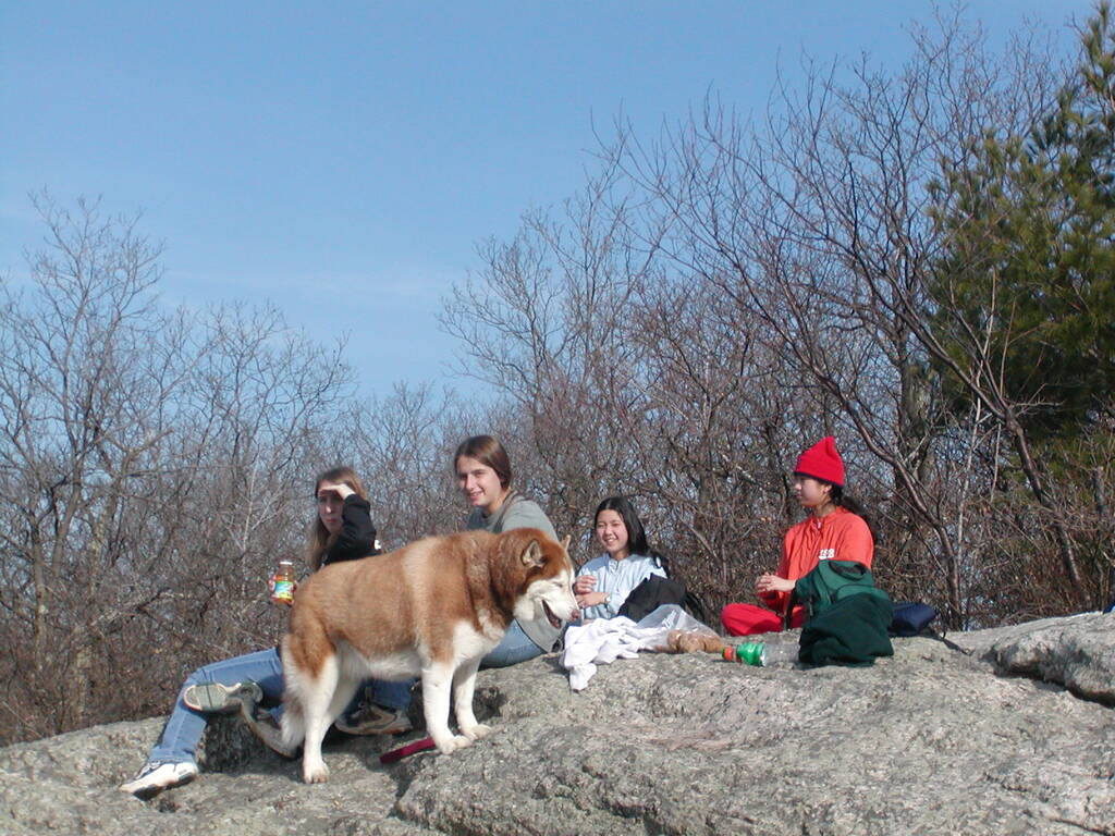 No description provided for: /2003/10-12/1123-erin-bday-hike/photo13.html