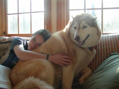 Image file: photo01.jpg